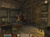 The Elder Scrolls IV Oblivion ScreenShot 02