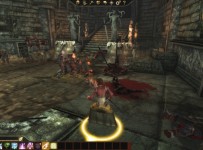 Dragon Age Origins ScreenShot 03